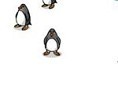 Pinguin