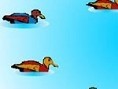 Enten