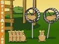 Fliegende Hamster