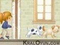 Köpek Gezdir
