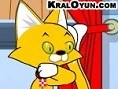 Kedi Bakımı