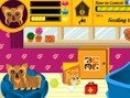 Dog Breed Contest