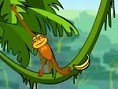 Spider-Affe