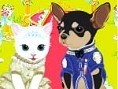Hund und Katze anziehen