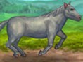 My Pet Horse