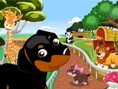 Dogs in Zoo Dogs in Zoo