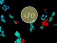 Music Catch 2