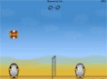 Pinguin Volleyball