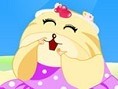 Hamster Anziehen