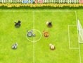 Pet Soccer