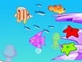 Fish Aquarium